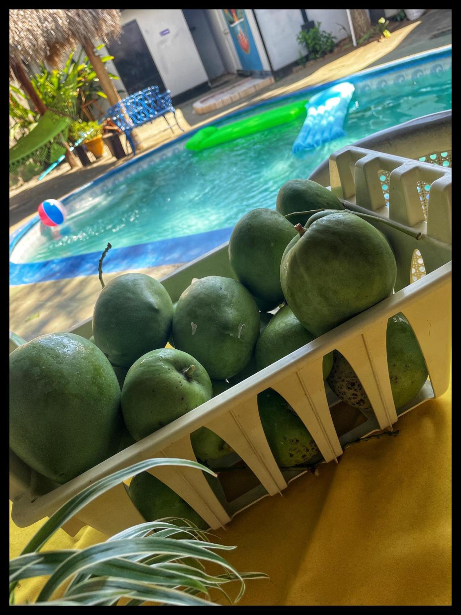 Managua Hotel Oasis Kültér fotó